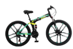 folding bike