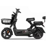 JY 019 Delivery Bike